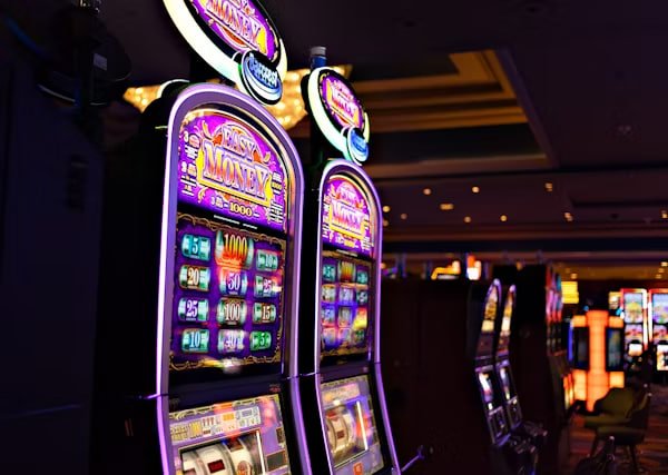 Antarmuka aplikasi mobile dingdong 77 dengan live dealer dan taruhan olahraga